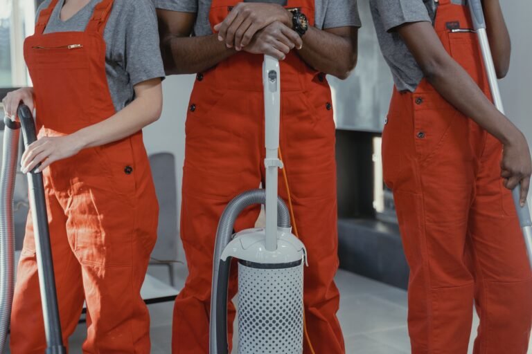 Professional Cleaners